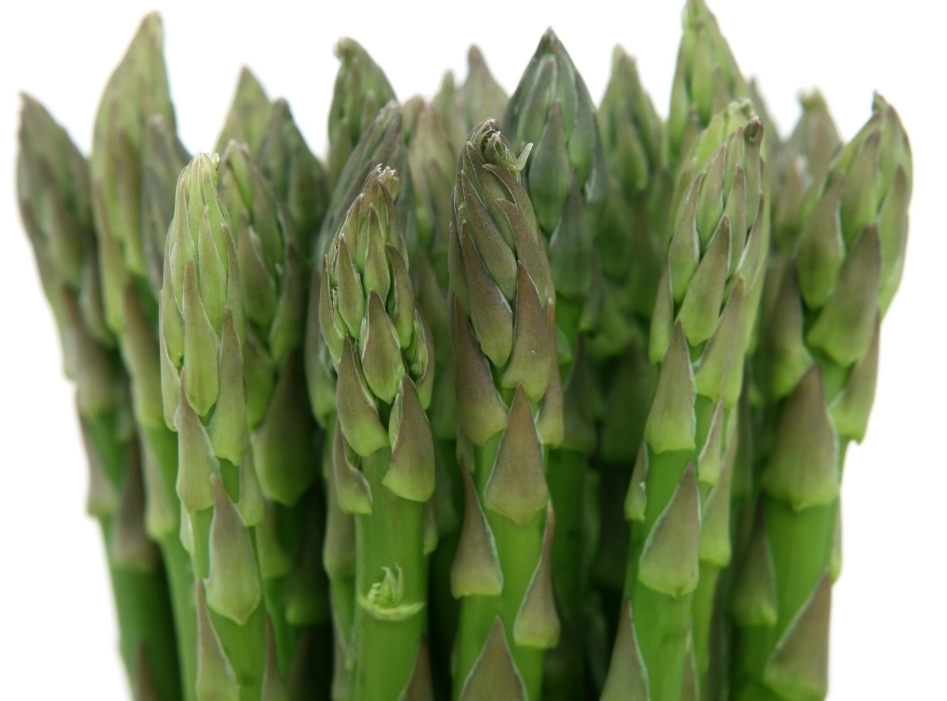 špargelj vina