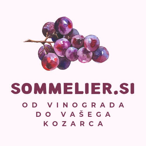 sommelier academy